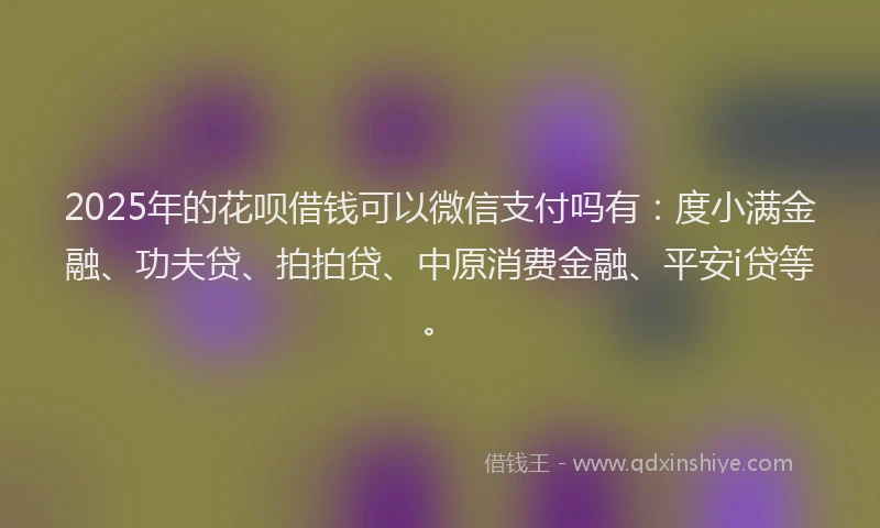2025年的花呗借钱可以微信支付吗有：度小满金融、功夫贷、拍拍贷、中原消费金融、平安i贷等。