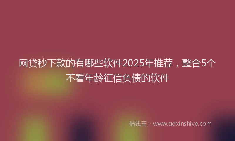 网贷秒下款的有哪些软件2025年推荐，整合5个不看年龄征信负债的软件