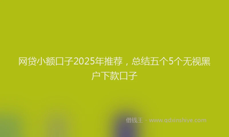 网贷小额口子2025年推荐，总结五个5个无视黑户下款口子