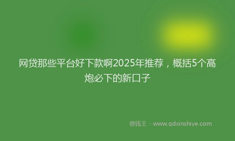 网贷那些平台好下款啊2025年推荐，概括5个高炮必下的新口子