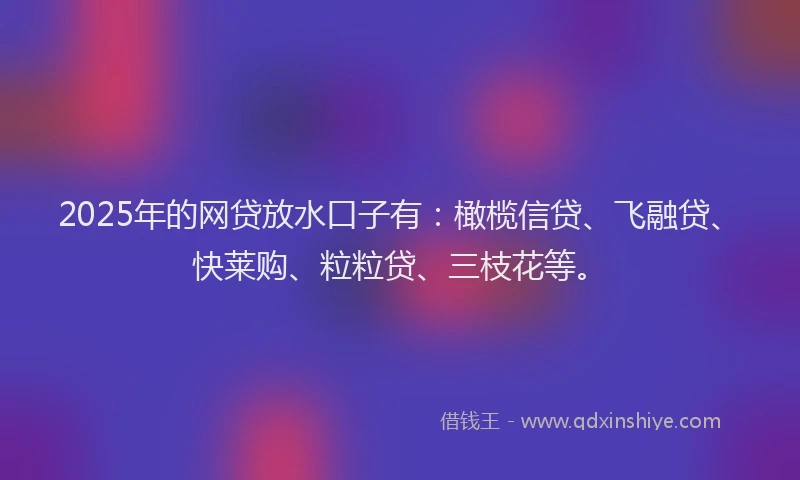 2025年的网贷放水口子有：橄榄信贷、飞融贷、快莱购、粒粒贷、三枝花等。