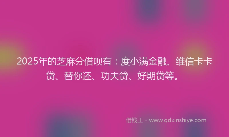 2025年的芝麻分借呗有：度小满金融、维信卡卡贷、替你还、功夫贷、好期贷等。