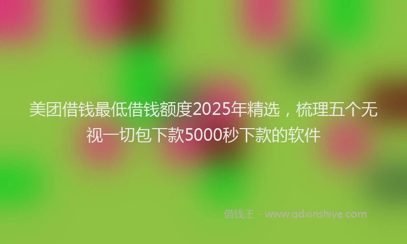 美团借钱最低借钱额度2025年精选，梳理五个无视一切包下款5000秒下款的软件