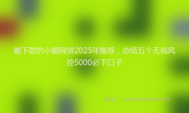 能下款的小额网贷2025年推荐，总结五个无视风控5000必下口子