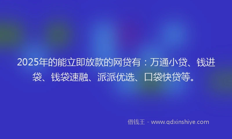 2025年的能立即放款的网贷有：万通小贷、钱进袋、钱袋速融、派派优选、口袋快贷等。