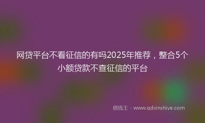 网贷平台不看征信的有吗2025年推荐，整合5个小额贷款不查征信的平台