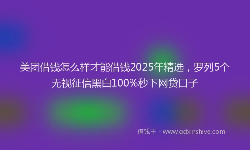 美团借钱怎么样才能借钱2025年精选，罗列5个无视征信黑白100%秒下网贷口子