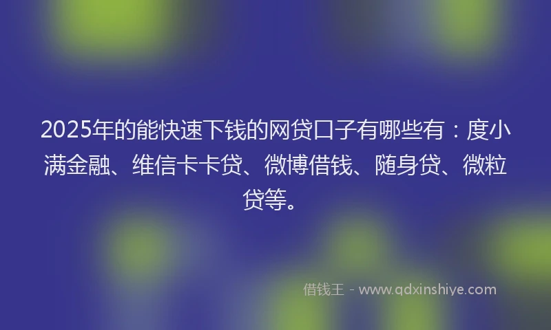 2025年的能快速下钱的网贷口子有哪些有：度小满金融、维信卡卡贷、微博借钱、随身贷、微粒贷等。