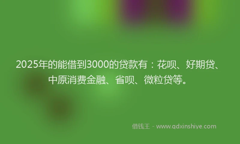 2025年的能借到3000的贷款有：花呗、好期贷、中原消费金融、省呗、微粒贷等。