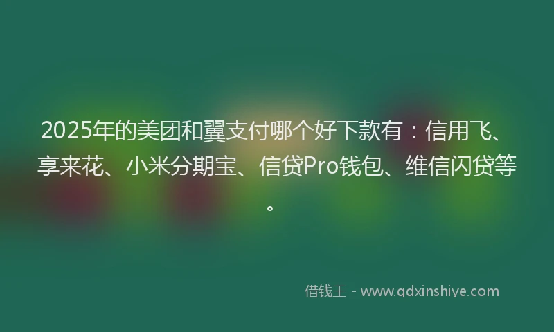 2025年的美团和翼支付哪个好下款有：信用飞、享来花、小米分期宝、信贷Pro钱包、维信闪贷等。