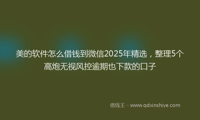 美的软件怎么借钱到微信2025年精选，整理5个高炮无视风控逾期也下款的口子