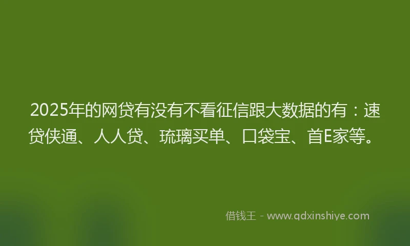 2025年的网贷有没有不看征信跟大数据的有：速贷侠通、人人贷、琉璃买单、口袋宝、首E家等。