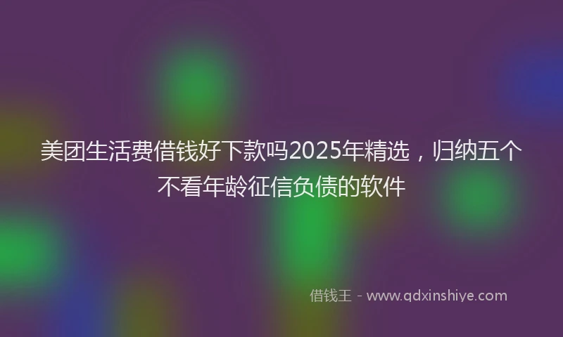 美团生活费借钱好下款吗2025年精选，归纳五个不看年龄征信负债的软件