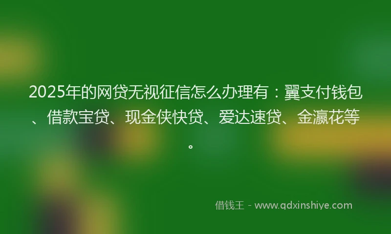 2025年的网贷无视征信怎么办理有：翼支付钱包、借款宝贷、现金侠快贷、爱达速贷、金瀛花等。
