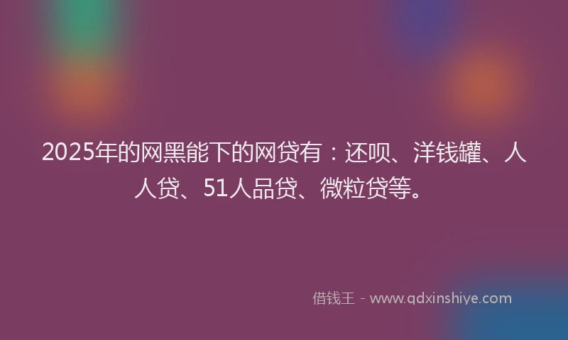 2025年的网黑能下的网贷有：还呗、洋钱罐、人人贷、51人品贷、微粒贷等。