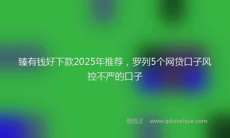 臻有钱好下款2025年推荐，罗列5个网贷口子风控不严的口子
