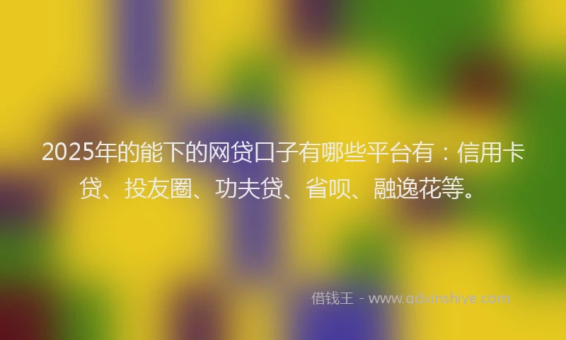2025年的能下的网贷口子有哪些平台有：信用卡贷、投友圈、功夫贷、省呗、融逸花等。