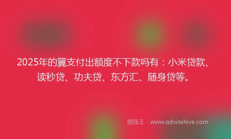2025年的翼支付出额度不下款吗有：小米贷款、读秒贷、功夫贷、东方汇、随身贷等。
