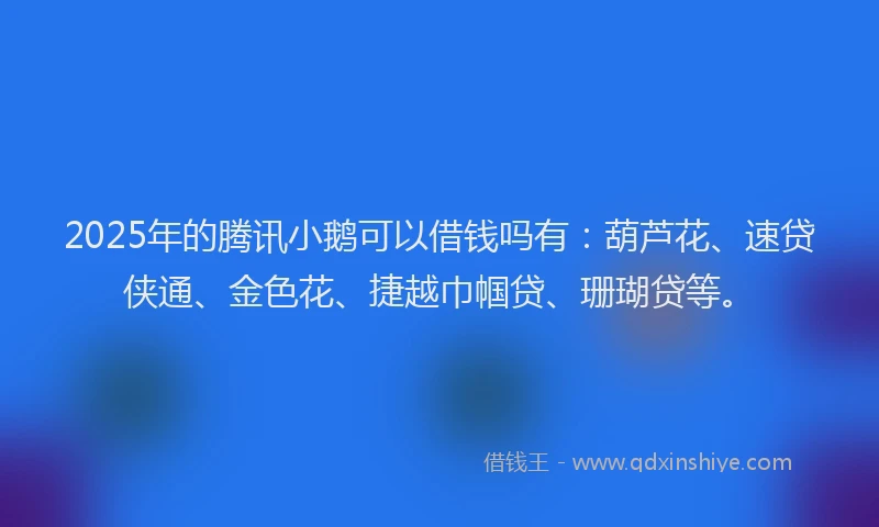 2025年的腾讯小鹅可以借钱吗有：葫芦花、速贷侠通、金色花、捷越巾帼贷、珊瑚贷等。