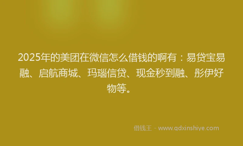 2025年的美团在微信怎么借钱的啊有：易贷宝易融、启航商城、玛瑙信贷、现金秒到融、彤伊好物等。
