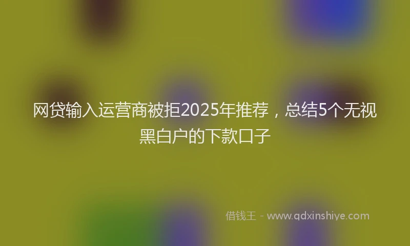 网贷输入运营商被拒2025年推荐，总结5个无视黑白户的下款口子