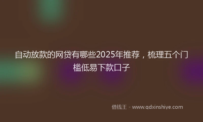 自动放款的网贷有哪些2025年推荐，梳理五个门槛低易下款口子