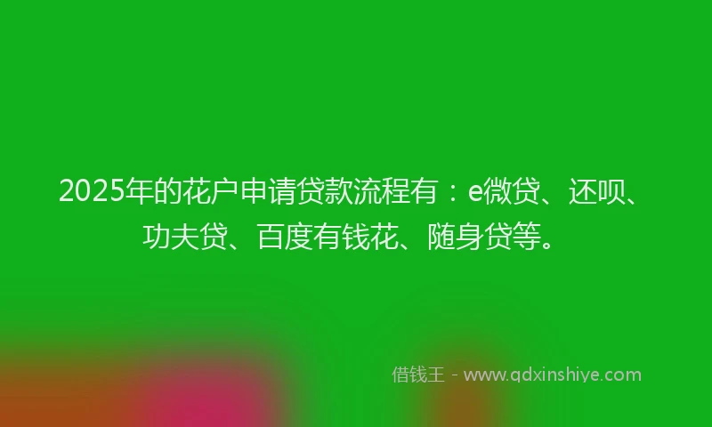 2025年的花户申请贷款流程有：e微贷、还呗、功夫贷、百度有钱花、随身贷等。