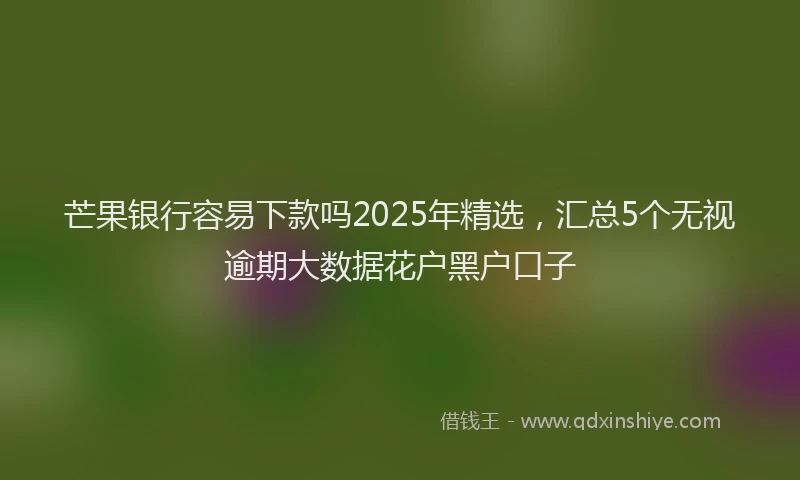 芒果银行容易下款吗2025年精选，汇总5个无视逾期大数据花户黑户口子