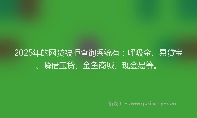 2025年的网贷被拒查询系统有：呼吸金、易贷宝、瞬借宝贷、金鱼商城、现金易等。