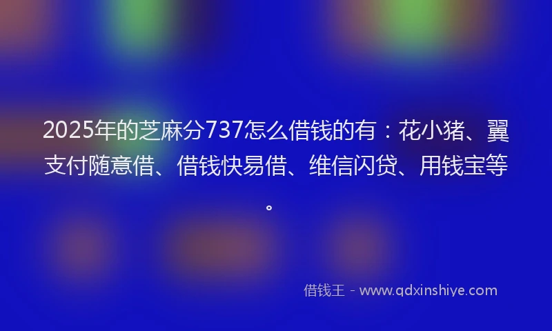 2025年的芝麻分737怎么借钱的有：花小猪、翼支付随意借、借钱快易借、维信闪贷、用钱宝等。
