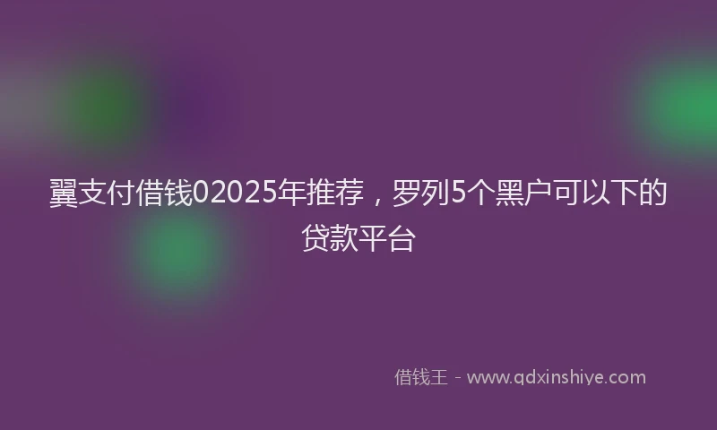 翼支付借钱02025年推荐，罗列5个黑户可以下的贷款平台