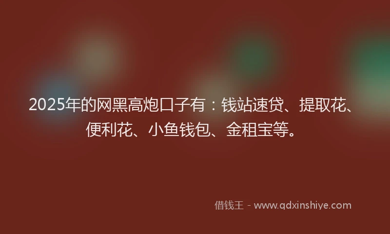 2025年的网黑高炮口子有：钱站速贷、提取花、便利花、小鱼钱包、金租宝等。