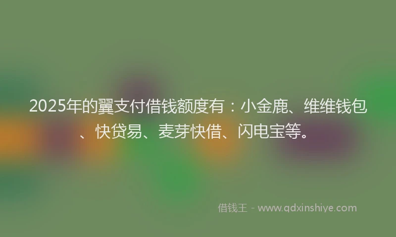 2025年的翼支付借钱额度有：小金鹿、维维钱包、快贷易、麦芽快借、闪电宝等。