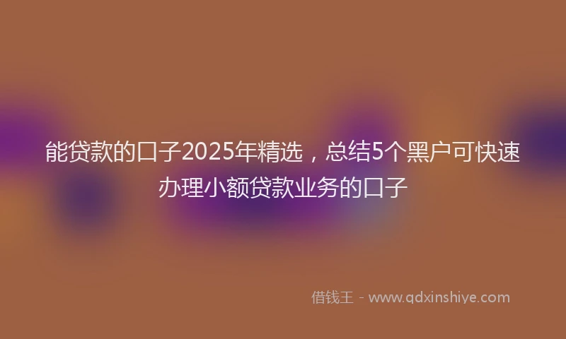 能贷款的口子2025年精选，总结5个黑户可快速办理小额贷款业务的口子