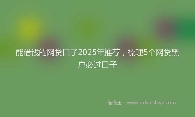 能借钱的网贷口子2025年推荐，梳理5个网贷黑户必过口子