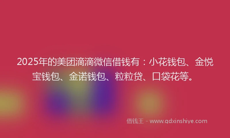 2025年的美团滴滴微信借钱有：小花钱包、金悦宝钱包、金诺钱包、粒粒贷、口袋花等。