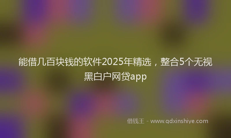 能借几百块钱的软件2025年精选，整合5个无视黑白户网贷app