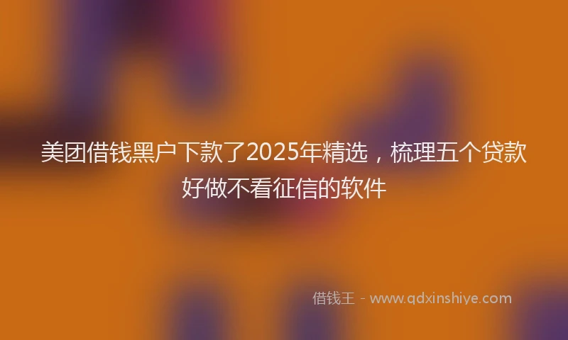 美团借钱黑户下款了2025年精选，梳理五个贷款好做不看征信的软件