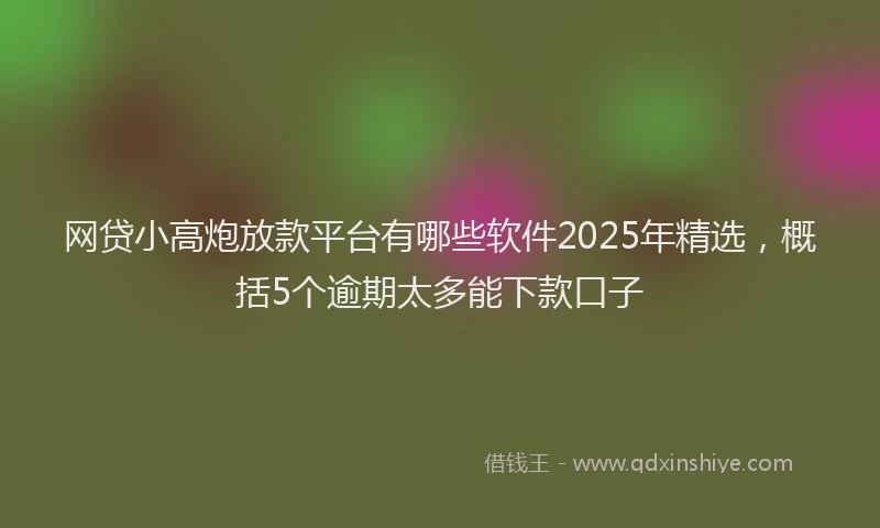 网贷小高炮放款平台有哪些软件2025年精选，概括5个逾期太多能下款口子