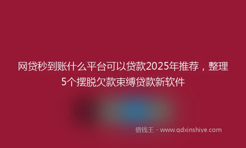 网贷秒到账什么平台可以贷款2025年推荐，整理5个摆脱欠款束缚贷款新软件