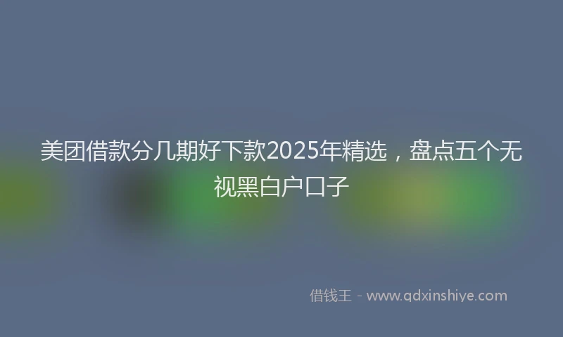 美团借款分几期好下款2025年精选，盘点五个无视黑白户口子