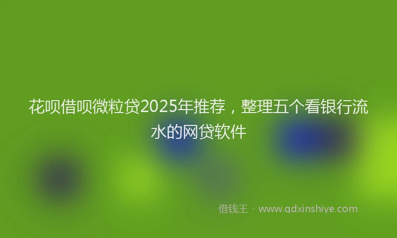 花呗借呗微粒贷2025年推荐，整理五个看银行流水的网贷软件