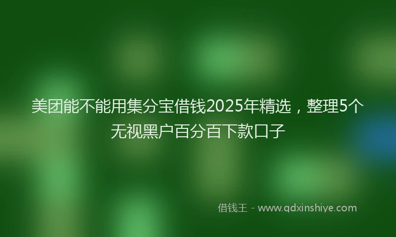 美团能不能用集分宝借钱2025年精选，整理5个无视黑户百分百下款口子