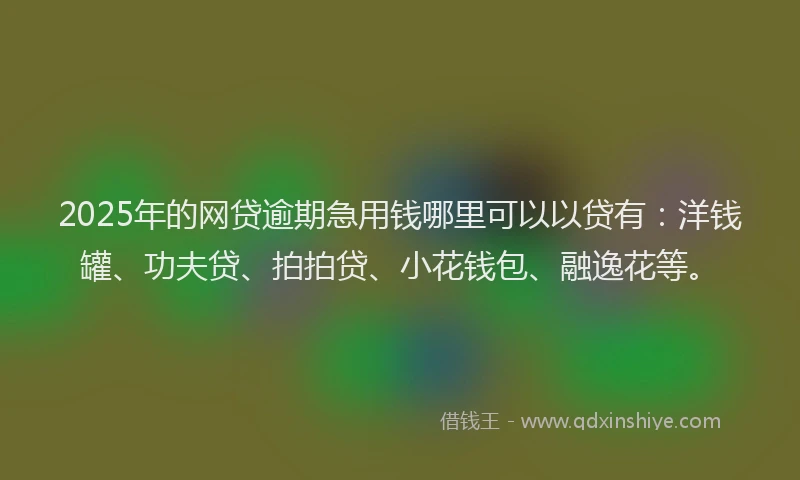 2025年的网贷逾期急用钱哪里可以以贷有：洋钱罐、功夫贷、拍拍贷、小花钱包、融逸花等。