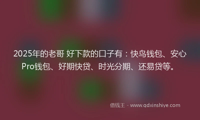 2025年的老哥 好下款的口子有：快鸟钱包、安心Pro钱包、好期快贷、时光分期、还易贷等。