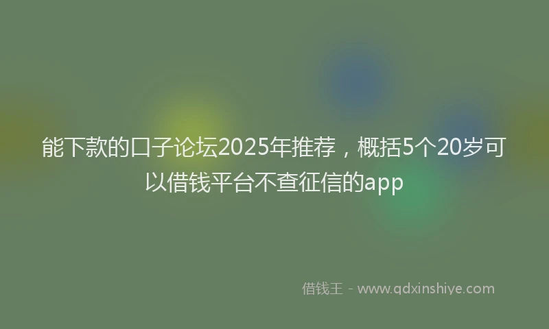 能下款的口子论坛2025年推荐，概括5个20岁可以借钱平台不查征信的app