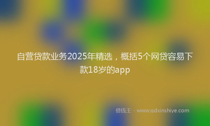 自营贷款业务2025年精选，概括5个网贷容易下款18岁的app