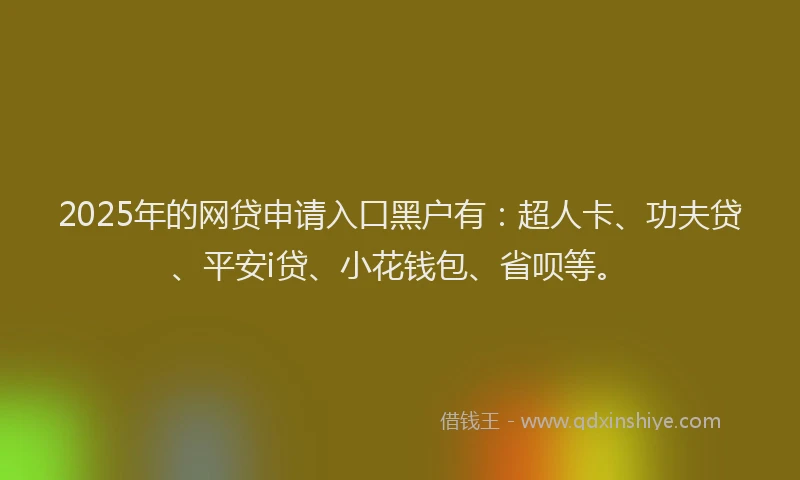 2025年的网贷申请入口黑户有：超人卡、功夫贷、平安i贷、小花钱包、省呗等。