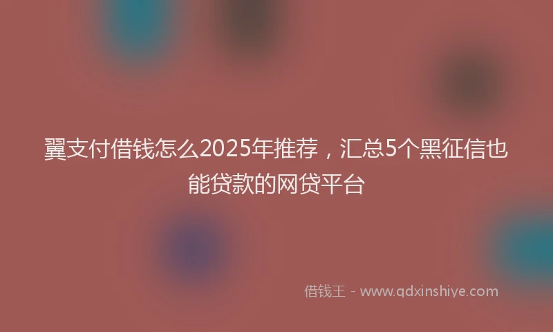 翼支付借钱怎么2025年推荐，汇总5个黑征信也能贷款的网贷平台