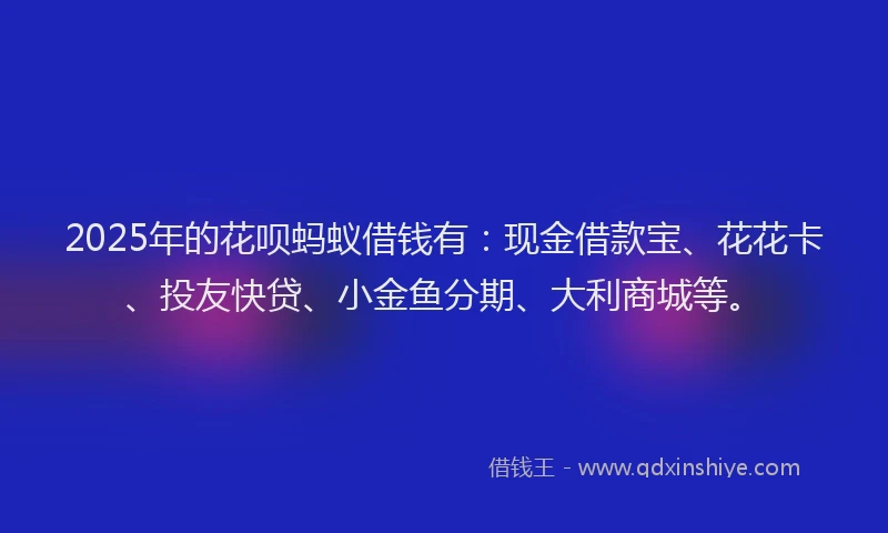 2025年的花呗蚂蚁借钱有：现金借款宝、花花卡、投友快贷、小金鱼分期、大利商城等。
